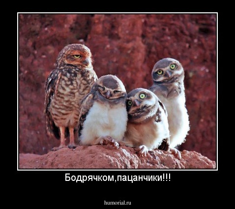 Бодрячком,пацанчики!!!