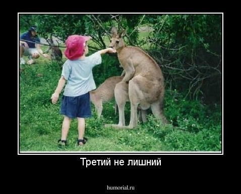 Третий не лишний