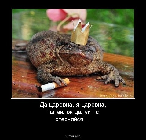 Да царевна, я царевна, ты милок цалуй не стесняйся...