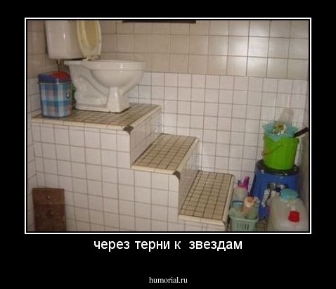 через терни к  звездам
