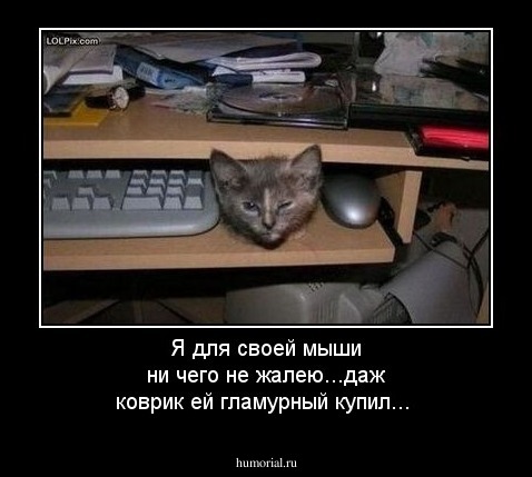Я для своей мыши ни чего не жалею...даж коврик ей гламурный купил...