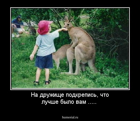 На дружище подкрепись, что лучше было вам .....