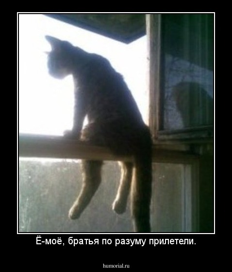 Ё-моё, братья по разуму прилетели.