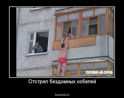 Отстрел бездомных кобелей