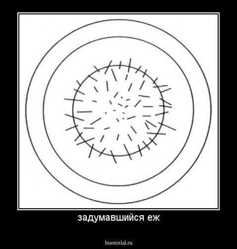 задумавшийся еж