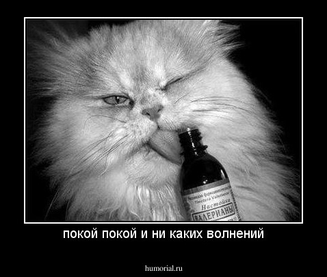 покой покой и ни каких волнений