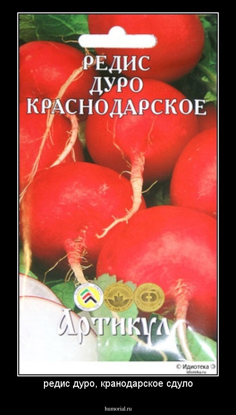 редис дуро, кранодарское сдуло
