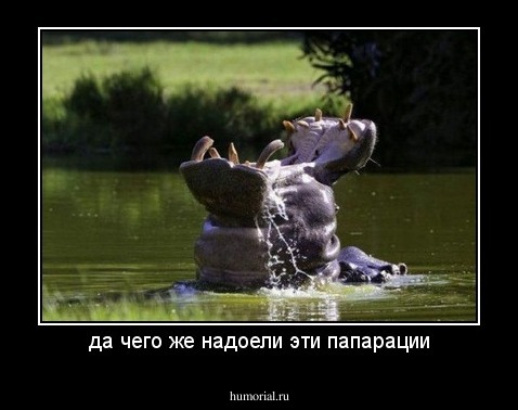 да чего же надоели эти папарации