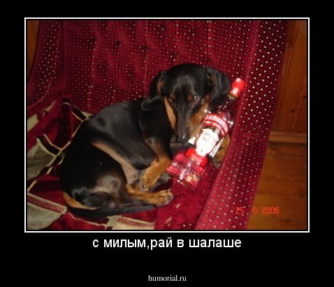 с милым,рай в шалаше