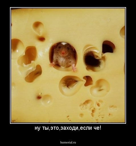 ну ты,это,заходи,если че!