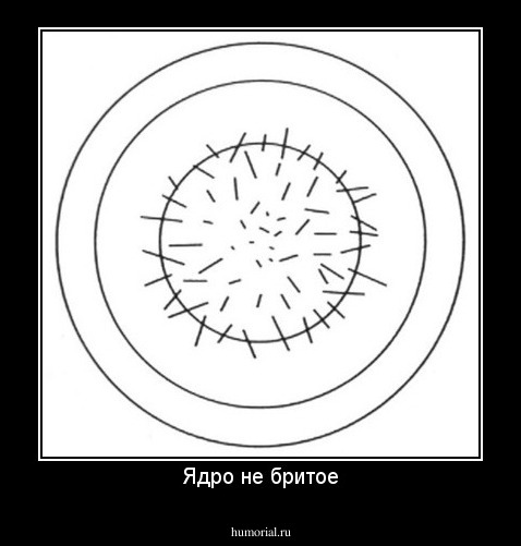 Ядро не бритое