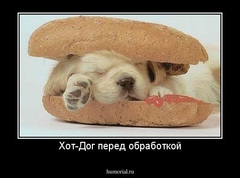 Хот-Дог перед обработкой