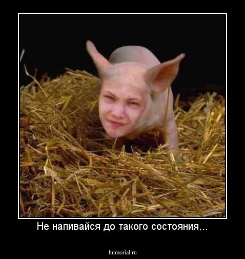 Не напивайся до такого состояния...