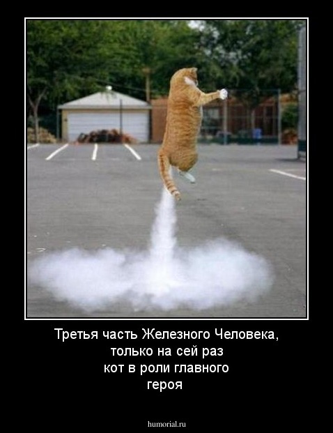 Третья часть Железного Человека, только на сей раз кот в роли главного героя