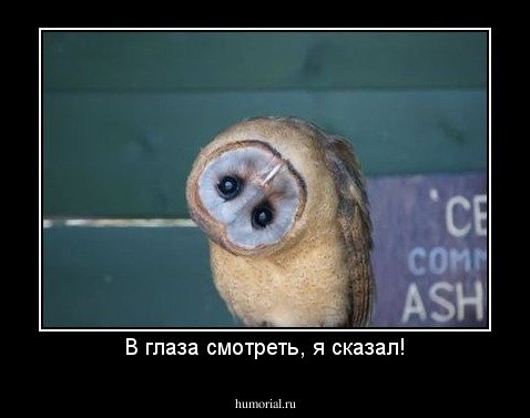 В глаза смотреть, я сказал!