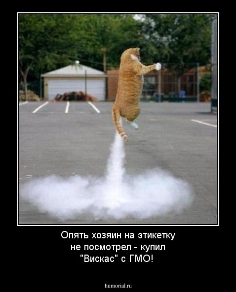 Опять хозяин на этикетку не посмотрел - купил "Вискас" с ГМО!