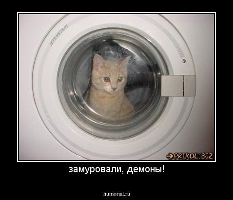замуровали, демоны!
