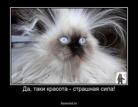 Да, таки красота - страшная сила!