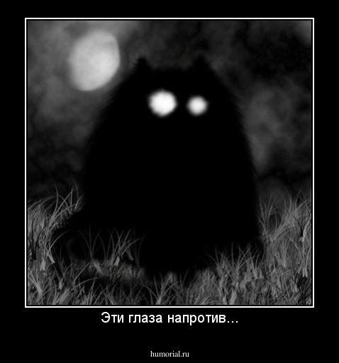 Эти глаза напротив...