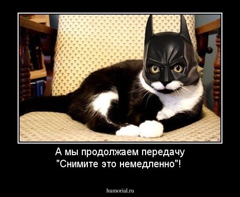 А мы продолжаем передачу "Снимите это немедленно"!