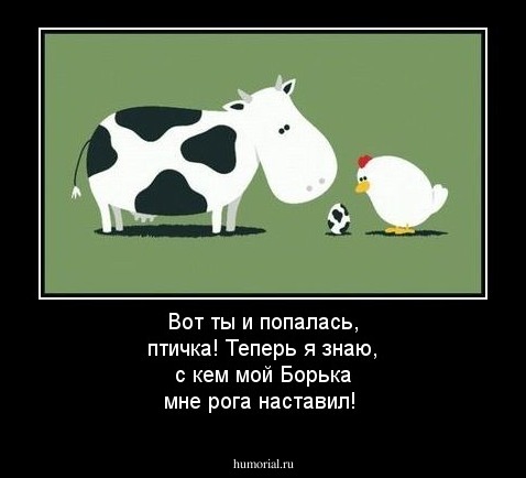 Вот ты и попалась, птичка! Теперь я знаю, с кем мой Борька мне рога наставил!