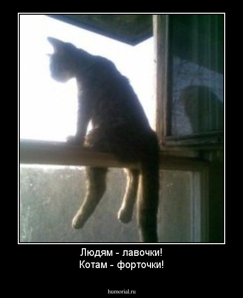 Людям - лавочки!
Котам - форточки!