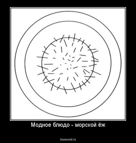 Модное блюдо - морской ёж