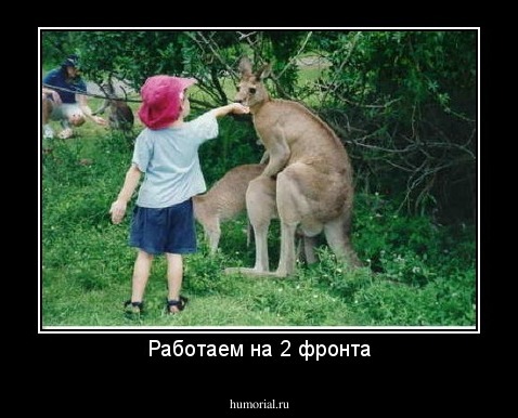 Работаем на 2 фронта