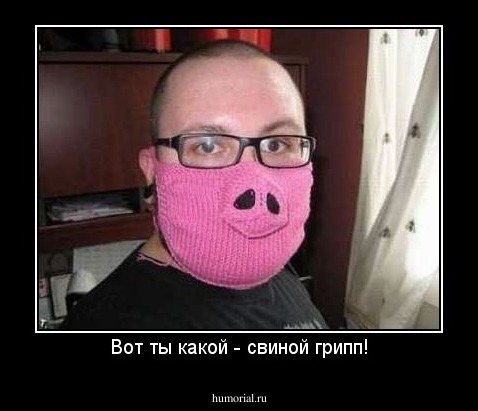 Вот ты какой - свиной грипп!