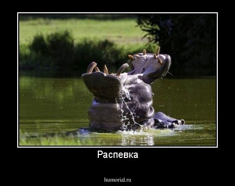 Распевка