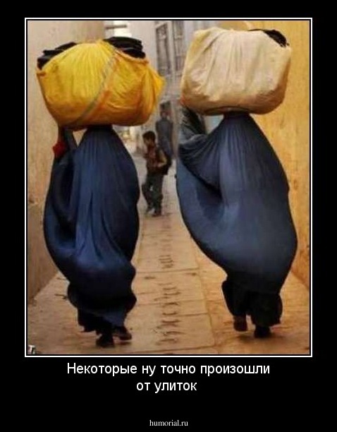 Некоторые ну точно произошли от улиток