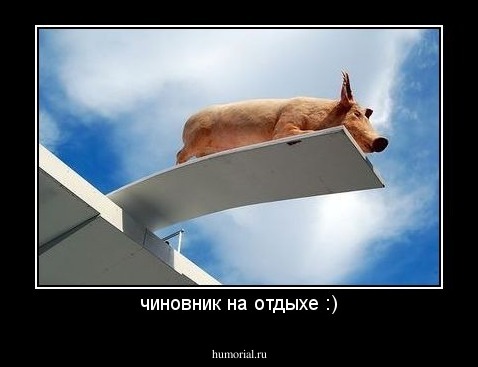 чиновник на отдыхе :)
