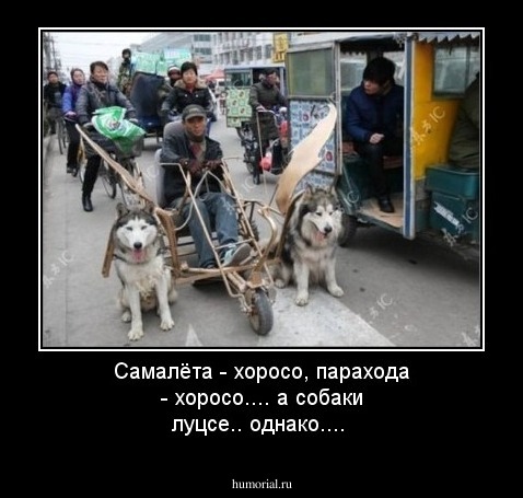 Самалёта - хоросо, парахода - хоросо....
а собаки луцсе.. однако....