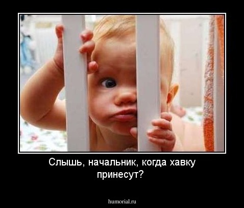 Слышь, начальник, когда хавку принесут?