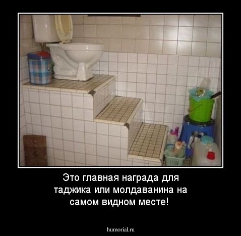 Это главная награда для таджика или молдаванина на самом видном месте!