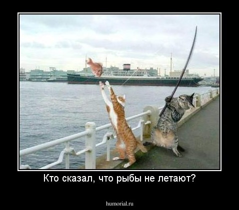 Кто сказал, что рыбы не летают?