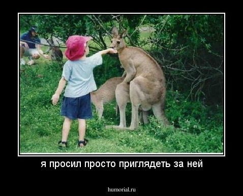 я просил просто приглядеть за ней