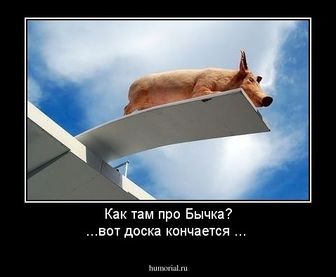 Как там про Бычка? ...вот доска кончается ...