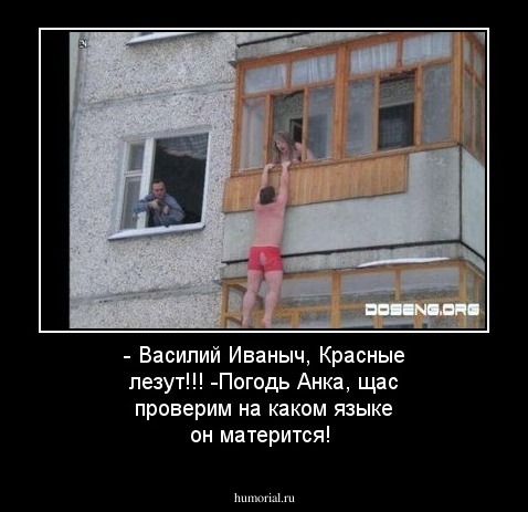 - Василий Иваныч, Красные лезут!!!
-Погодь Анка, щас проверим на каком языке он матерится!