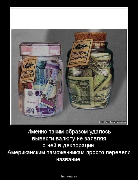 Именно таким образом удалось вывести валюту не заявляя о ней в деклорации. Американским таможенникам просто перевели название