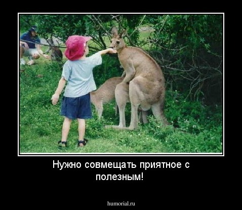 Нужно совмещать приятное с полезным!