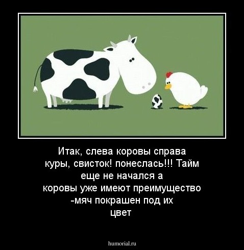 Итак, слева коровы справа куры, свисток! понеслась!!! Тайм еще не начался а коровы уже имеют преимущество -мяч покрашен под их цвет
