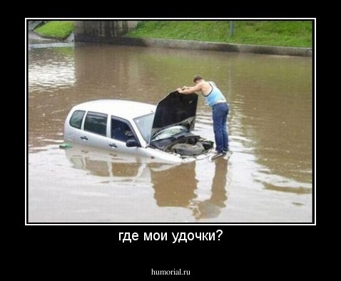 где мои удочки?