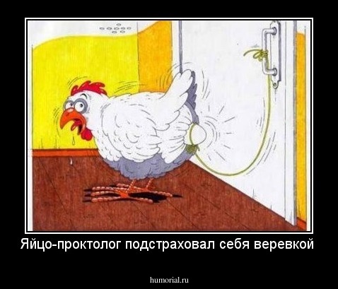 Яйцо-проктолог подстраховал себя веревкой