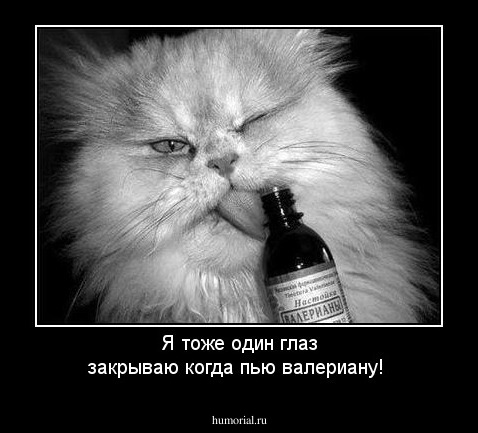 Я тоже один глаз закрываю когда пью валериану!