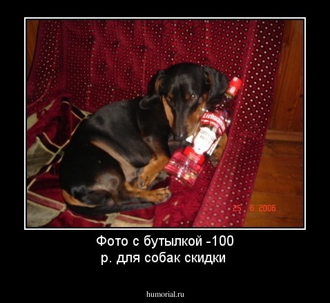 Фото с бутылкой -100 р. для собак скидки