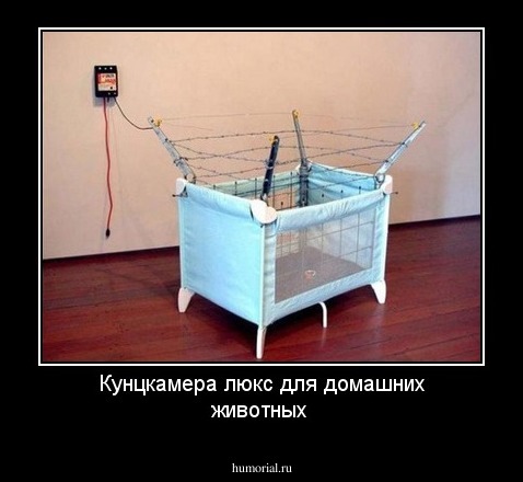 Кунцкамера люкс для домашних животных