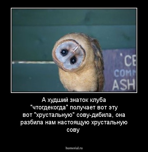 А худший знаток клуба "чтогдекогда" получает вот эту вот "хрустальную" сову-дибила, она разбила нам настоящую хрустальную сову 