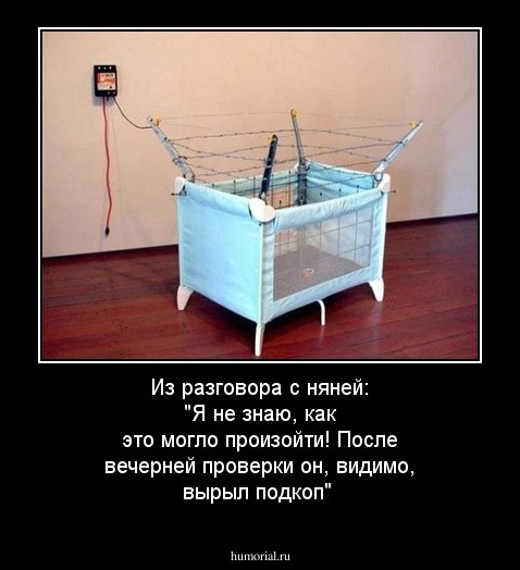 Из разговора с няней: "Я не знаю, как это могло произойти! После вечерней проверки он, видимо, вырыл подкоп"