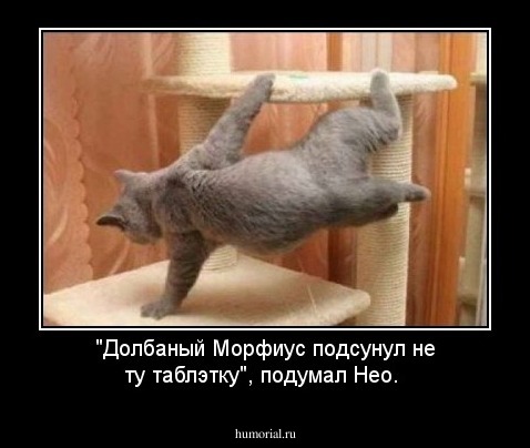 "Долбаный Морфиус подсунул не ту таблэтку", подумал Нео.